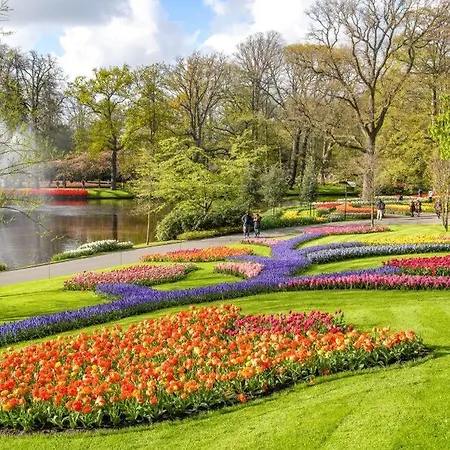 Comfi Houseboat Maatrollie In Close To Amsterdam *